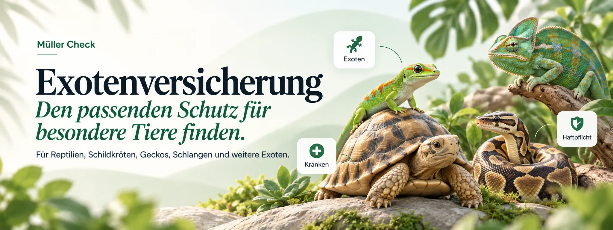 Landschildkröte, Taggecko, Königspython und Chamäleon zwischen Blättern; im Bild der Titel „Exotenversicherung“ und die Hinweise Exoten, Kranken und Haftpflicht